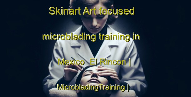 Skinart Art-focused microblading training in Mexico  El Rincon | MicrobladingTraining | MicrobladingClasses | SkinartTraining-Mexico
